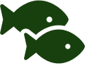 Makan Ikan
